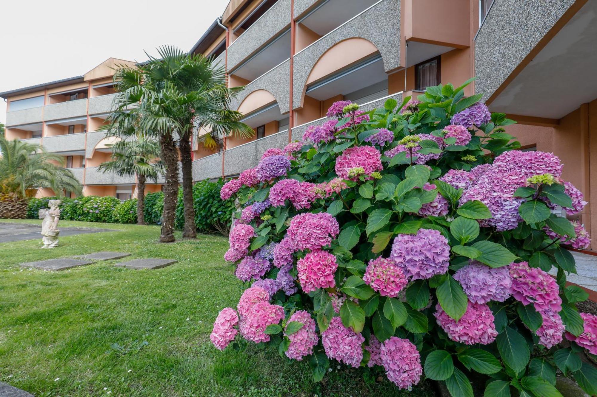 Les Terrasses De Borda*** Hotel Dax Exterior photo